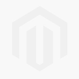 Colonos del Imperio: Roll & Write